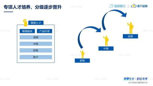 从敏捷咨询实践案例中,来看企业效能如何快速提升