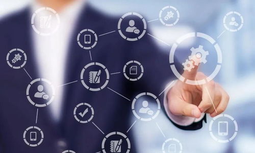 不忘初心 焕然一新 专题评论一 圣历集团2021年下半年的4大核心管理工作