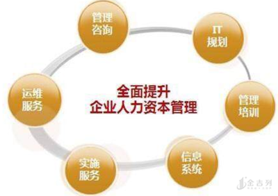 心理学与企业管理咨询 专业背景的独特优势与职业路径